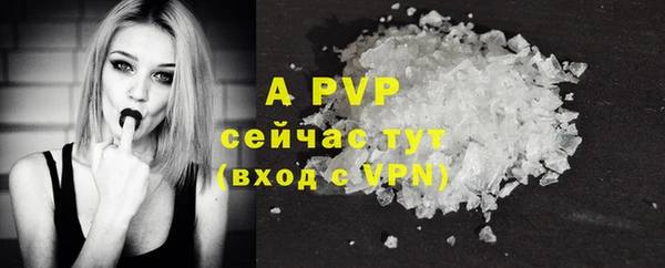 прущие грибы Покачи